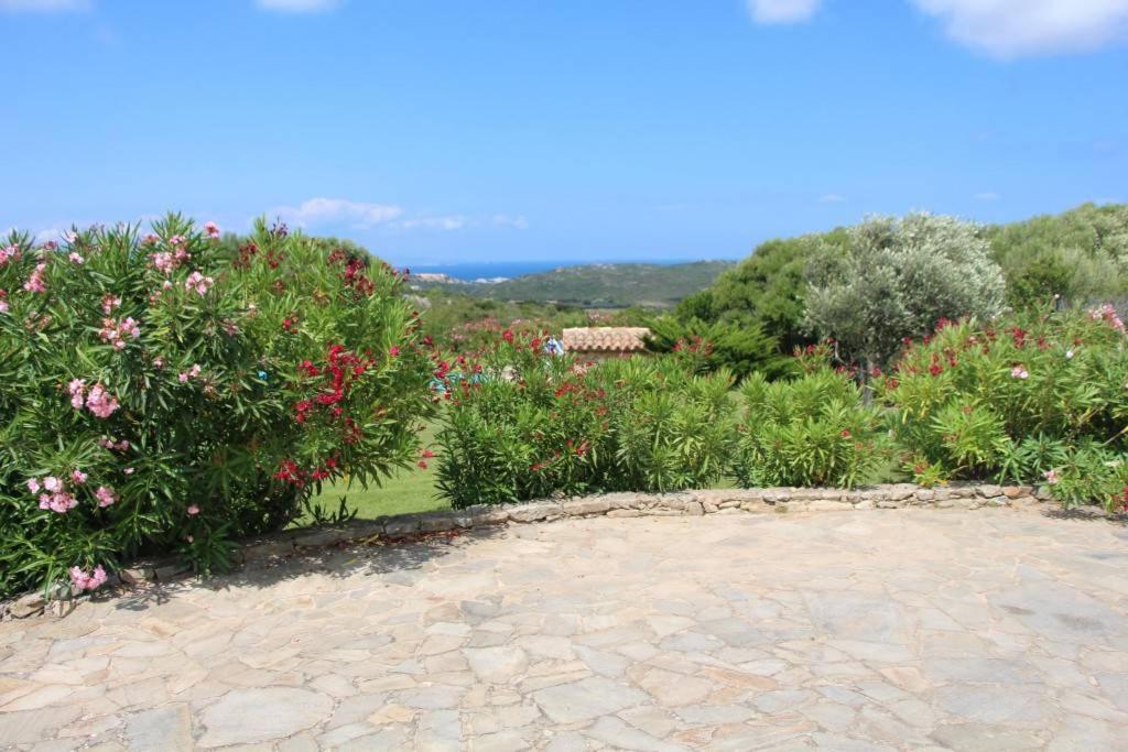 Villa Vela Marina *